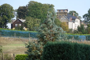 Die Wachtelburg aus Westlicher Richtung nach der Sanierung