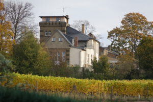 Weinberg im Herbst - blick auf die Wachtelburg