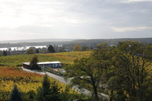 Weinberg im Herbst - Blick auf die Havel